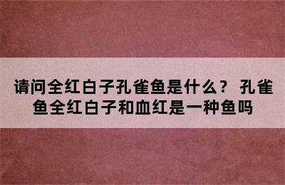 请问全红白子孔雀鱼是什么？ 孔雀鱼全红白子和血红是一种鱼吗